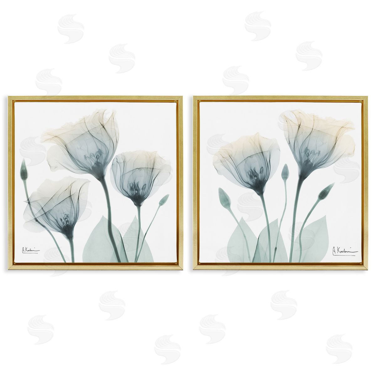 Albert Koetsier Budding Opaque Tulips Gold Floating Frame Canvas Wall Art Print
