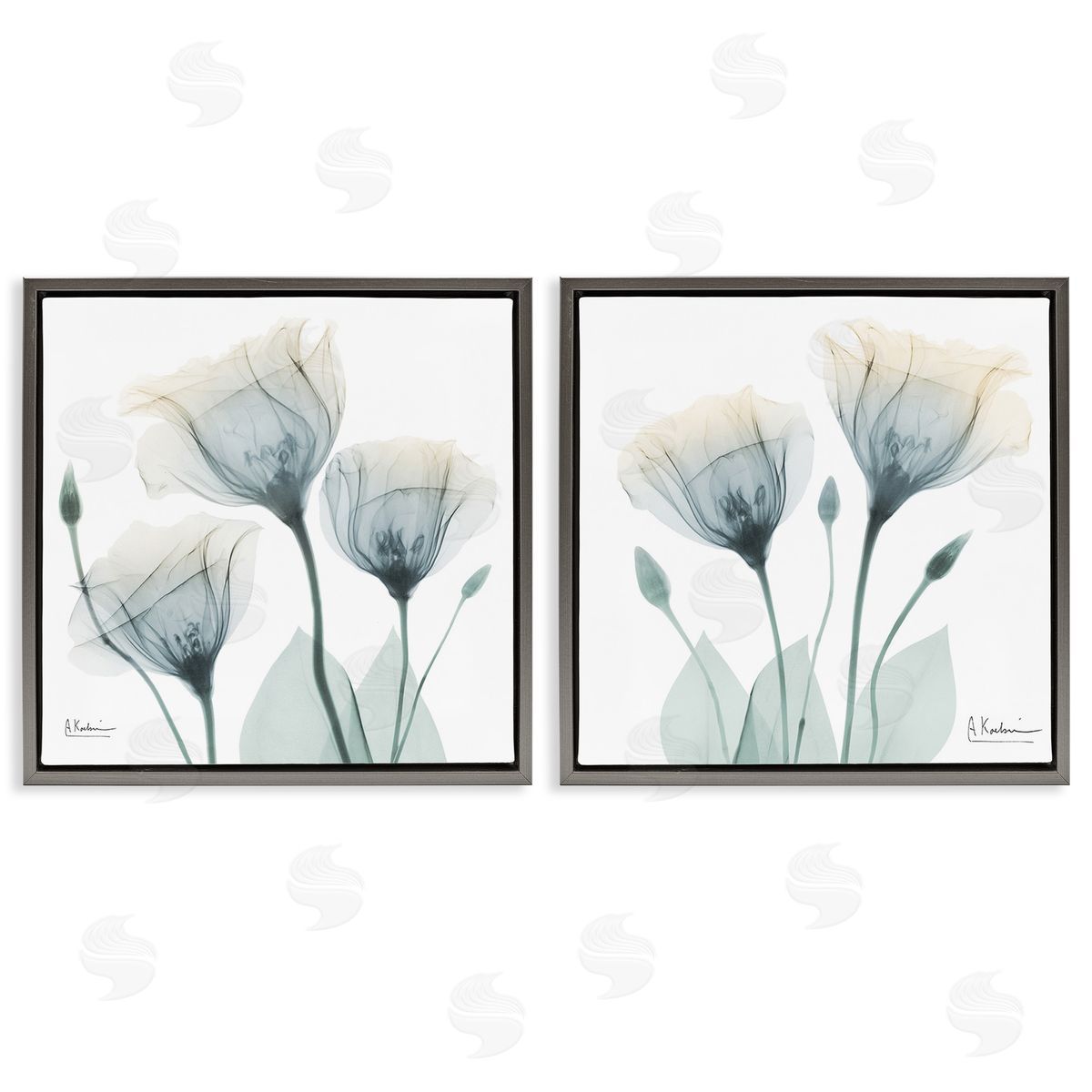 Albert Koetsier Budding Opaque Tulips Gray Floating Frame Canvas Wall Art Print