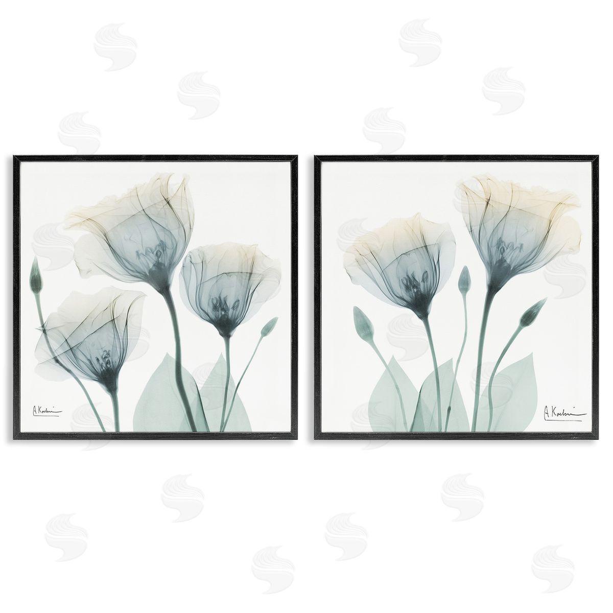 Albert Koetsier Budding Opaque Tulips Black Framed Giclee Wall Art Print