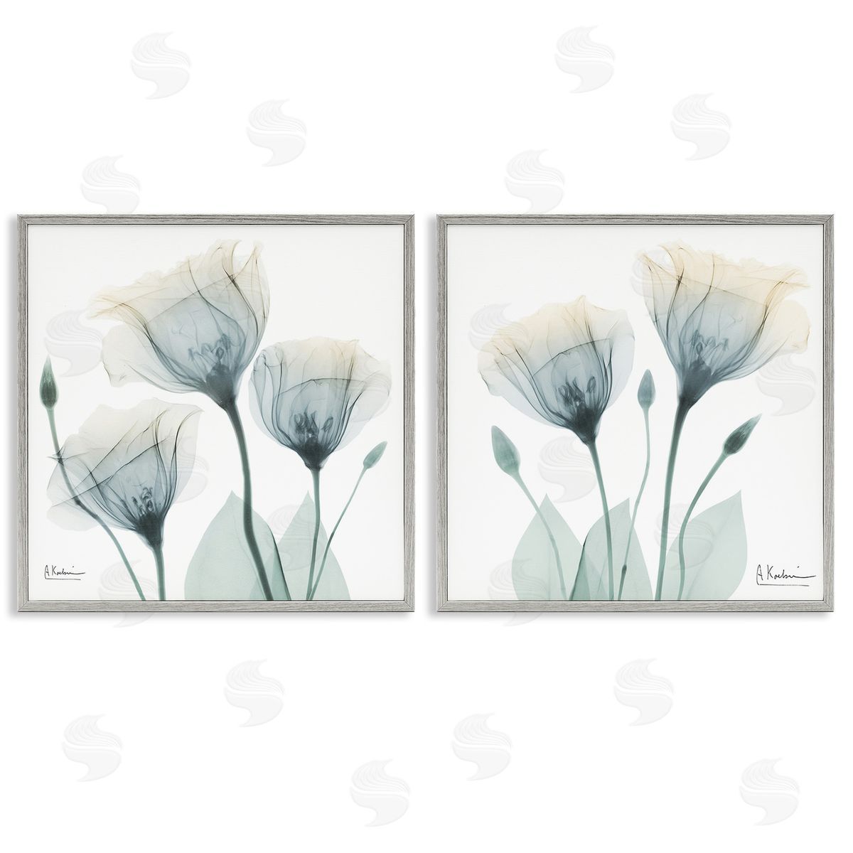 Albert Koetsier Budding Opaque Tulips Gray Framed Giclee Wall Art Print