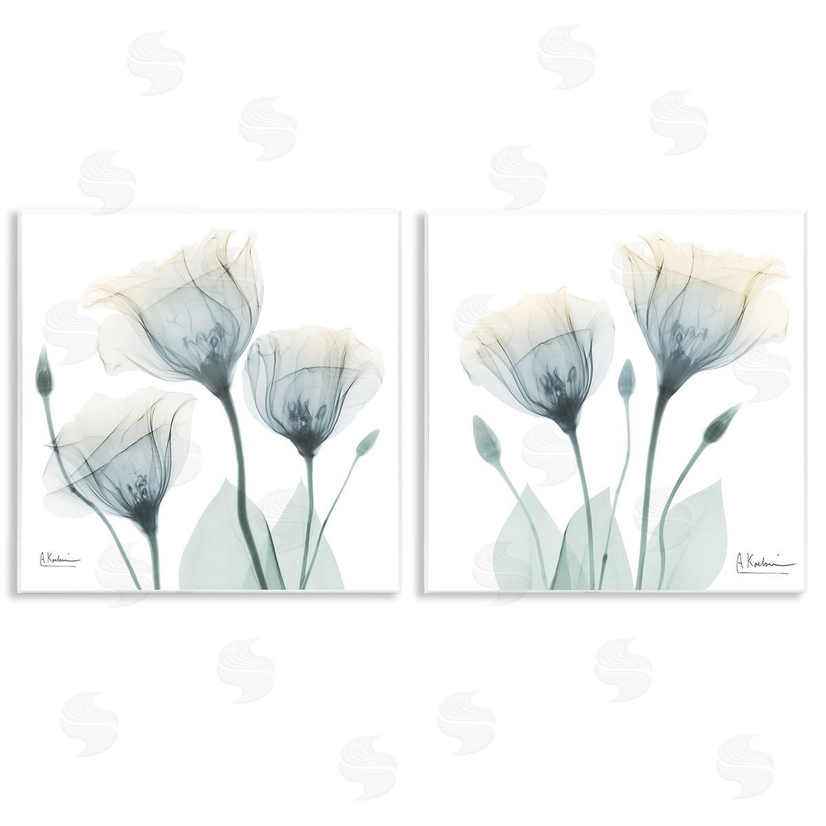 Albert Koetsier Budding Opaque Tulips Wooden Wall Plaque Art Print