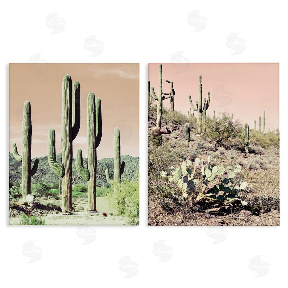Susan Bryant Saguaro Cactus Desertscape Canvas Wall Art Print