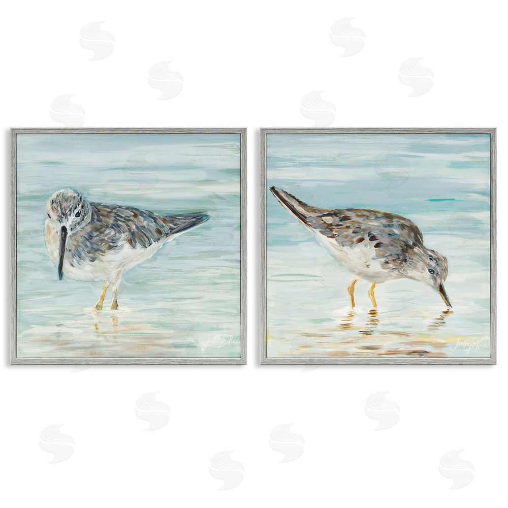Julie DeRice Piping Plover Shoreline Birds Gray Framed Giclee Wall Art Print