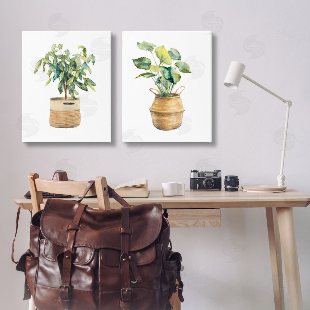 Lanie Loreth Lush Houseplants in Wicker Pots Canvas Wall Art Print in Room