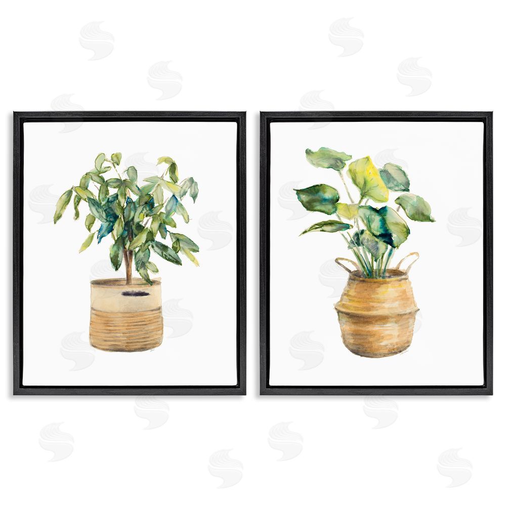 Lanie Loreth Lush Houseplants in Wicker Pots Black Floating Frame Canvas Wall Art Print