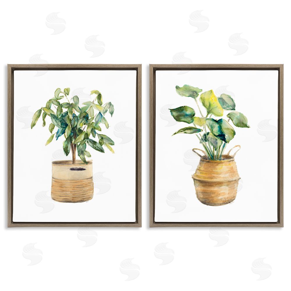 Lanie Loreth Lush Houseplants in Wicker Pots Brown Floating Frame Canvas Wall Art Print