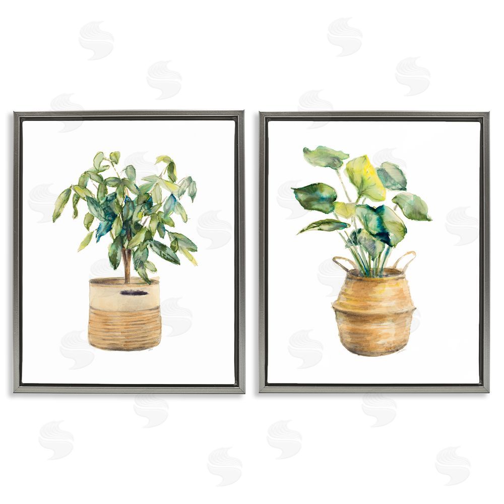 Lanie Loreth Lush Houseplants in Wicker Pots Gray Floating Frame Canvas Wall Art Print
