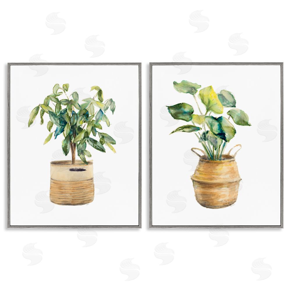 Lanie Loreth Lush Houseplants in Wicker Pots Gray Framed Giclee Wall Art Print