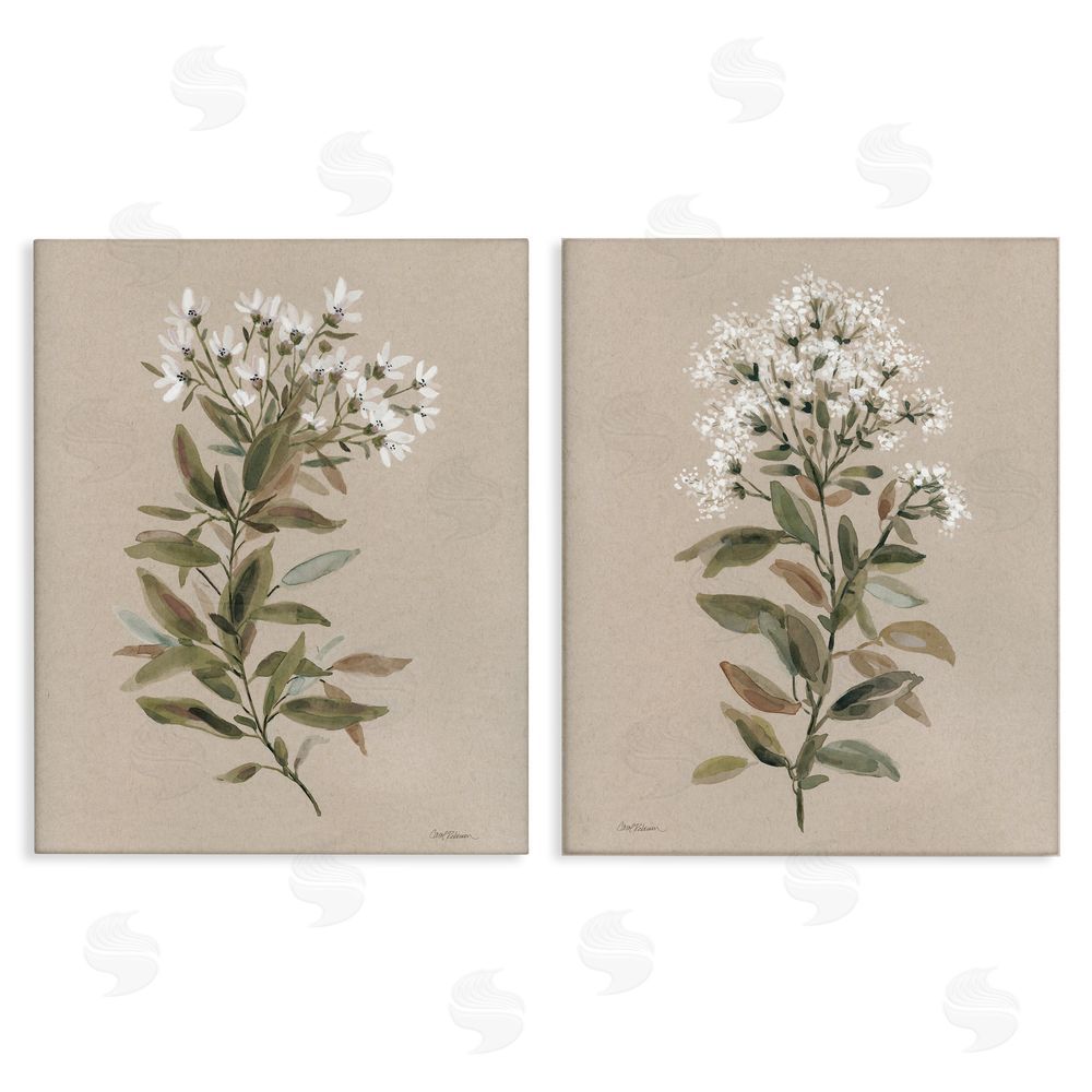 Carol Robinson Lovely White Floral Stem Canvas Wall Art Print