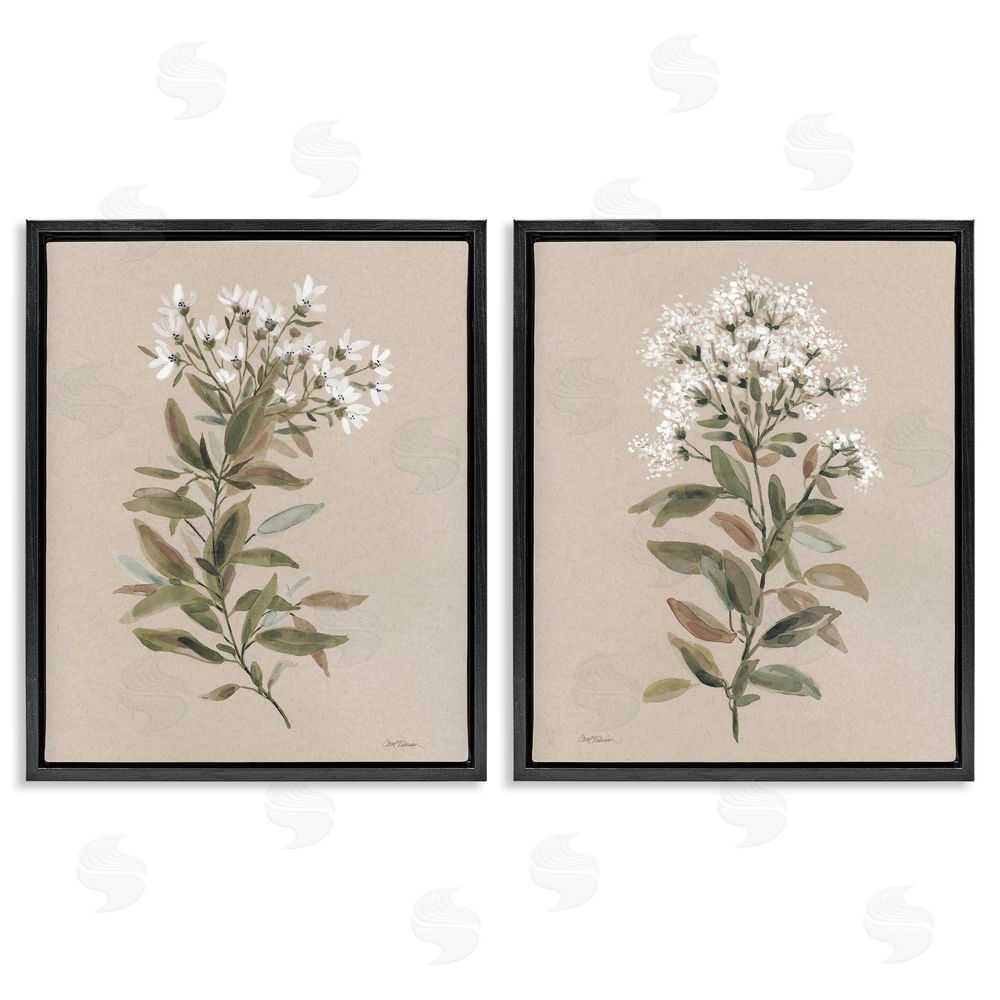 Carol Robinson Lovely White Floral Stem Black Floating Frame Canvas Wall Art Print