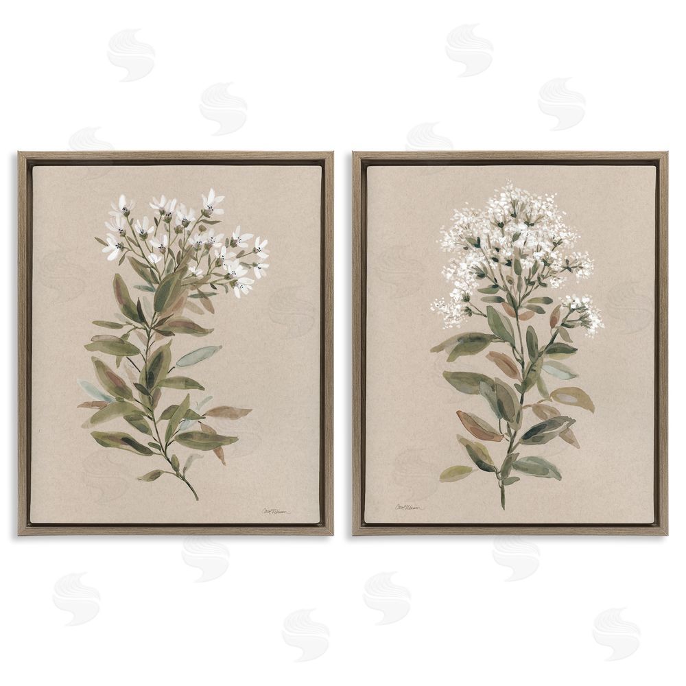 Carol Robinson Lovely White Floral Stem Brown Floating Frame Canvas Wall Art Print