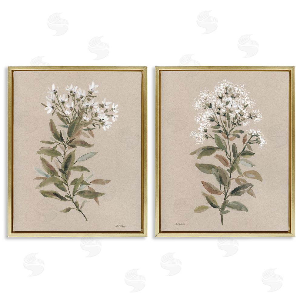 Carol Robinson Lovely White Floral Stem Gold Floating Frame Canvas Wall Art Print