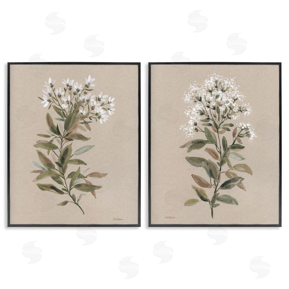 Carol Robinson Lovely White Floral Stem Black Framed Giclee Wall Art Print