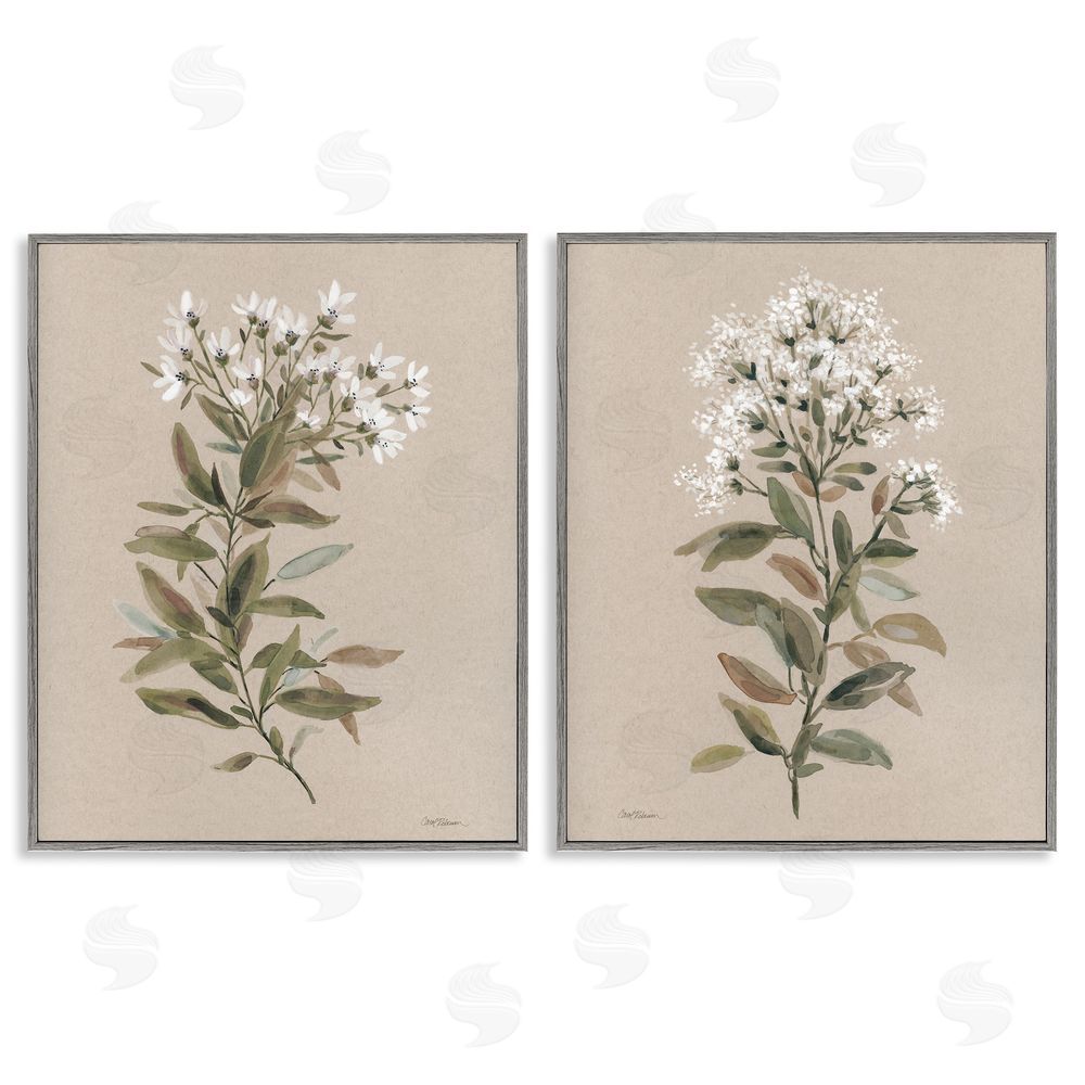 Carol Robinson Lovely White Floral Stem Gray Framed Giclee Wall Art Print