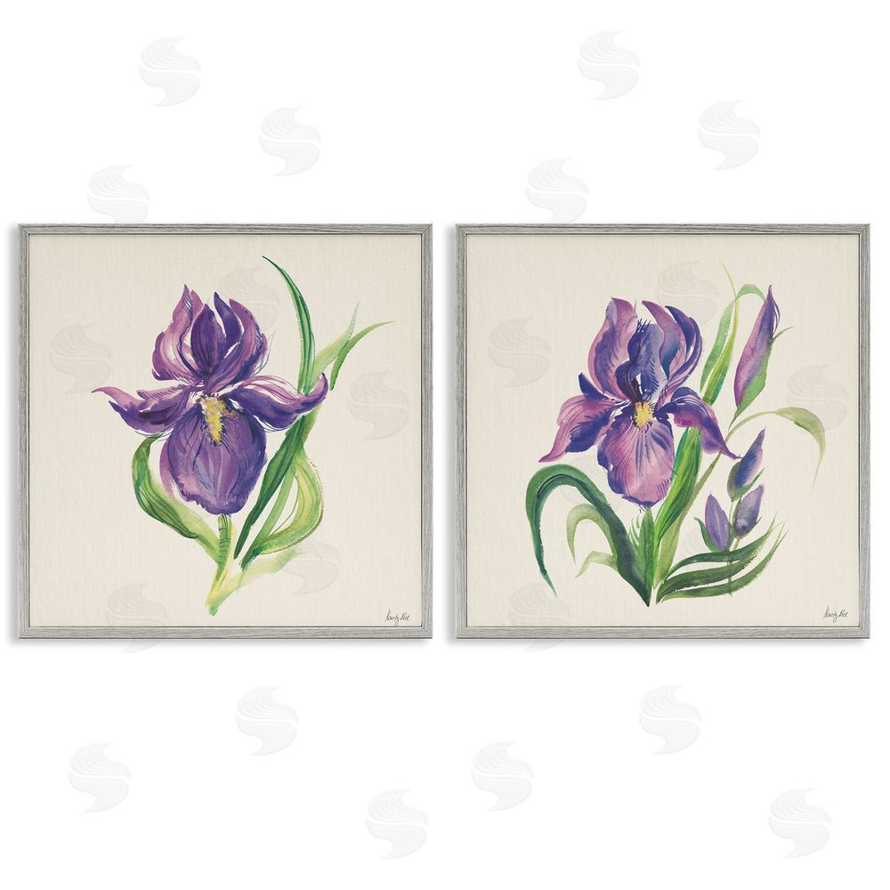 Kristy Rice Purple Iris in Bloom Gray Framed Giclee Wall Art Print