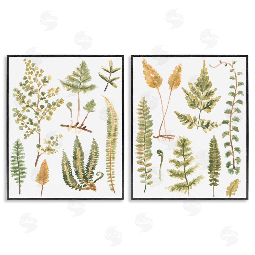 June Erica Vess Watercolor Fern Leaves Black Framed Giclee Wall Art Print