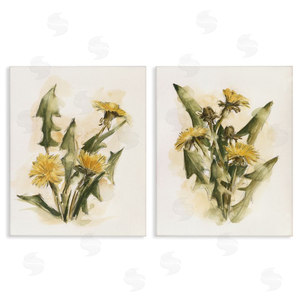 Ethan Harper Dandelion Watercolor Sketch Canvas Wall Art Print
