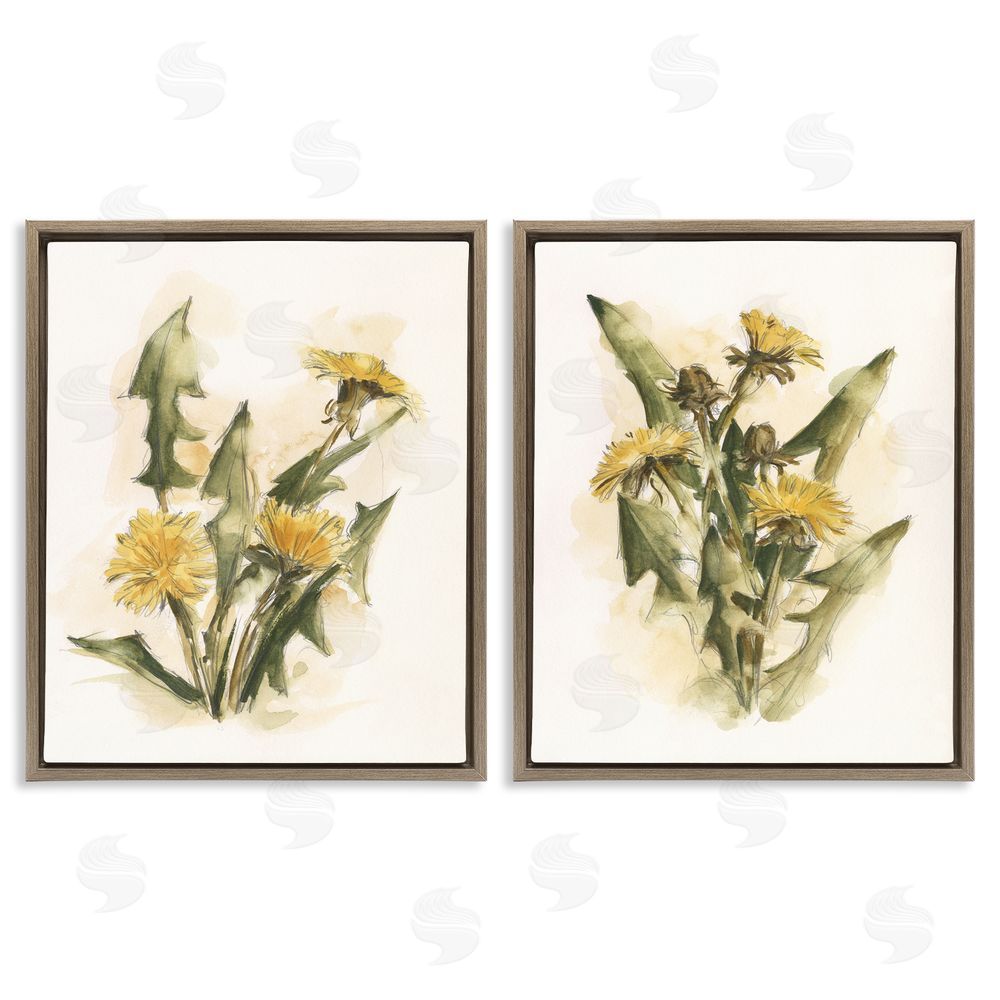 Ethan Harper Dandelion Watercolor Sketch Brown Floating Frame Canvas Wall Art Print