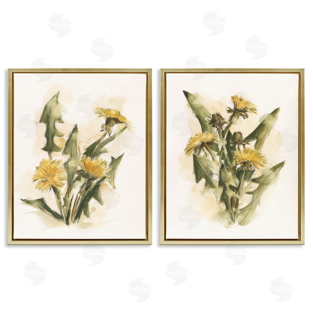 Ethan Harper Dandelion Watercolor Sketch Gold Floating Frame Canvas Wall Art Print