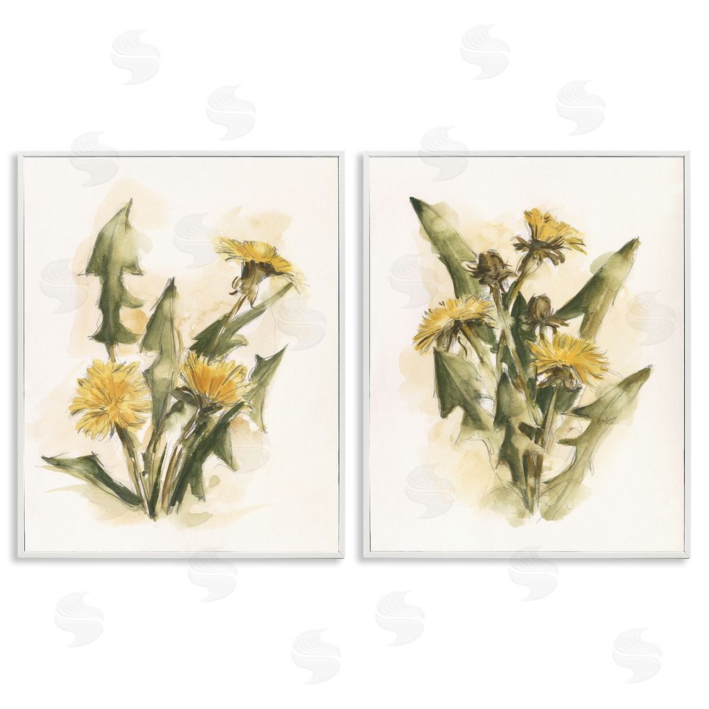 Ethan Harper Dandelion Watercolor Sketch White Framed Giclee Wall Art Print