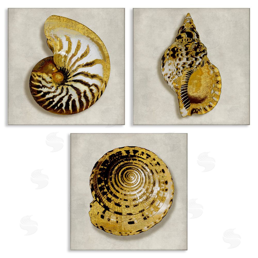Caroline Kelly Golden Spiral Seashells with Intricate Patterns Canvas Wall Art Print