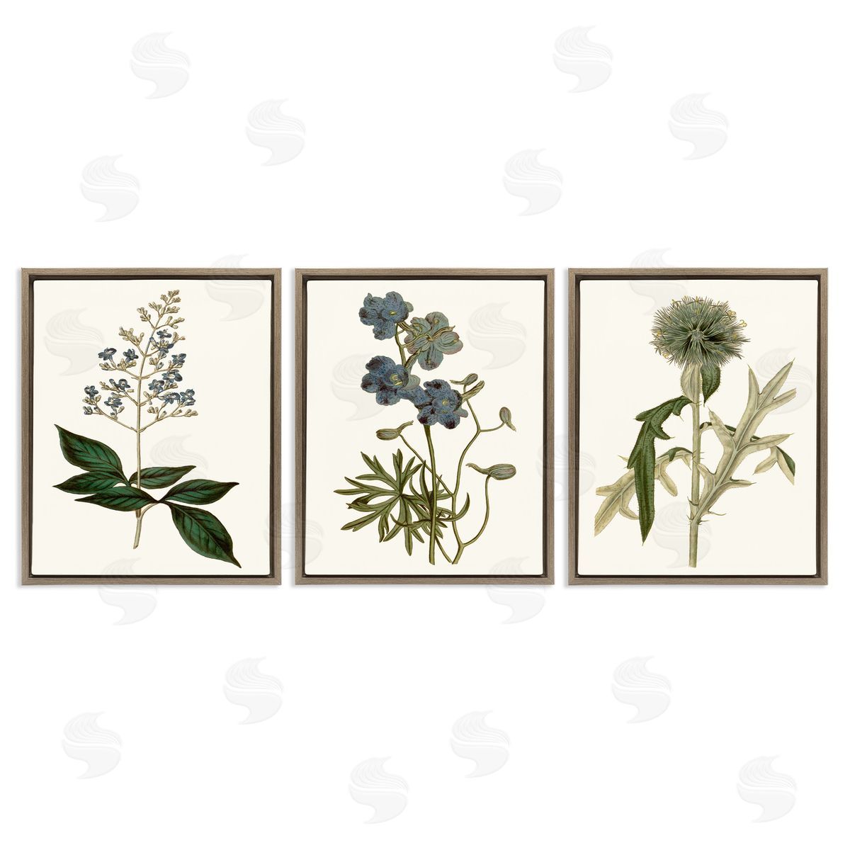 Vintage Botanical Flowers on Beige Brown Floating Frame Canvas Wall Art, Home Decor by Curtis