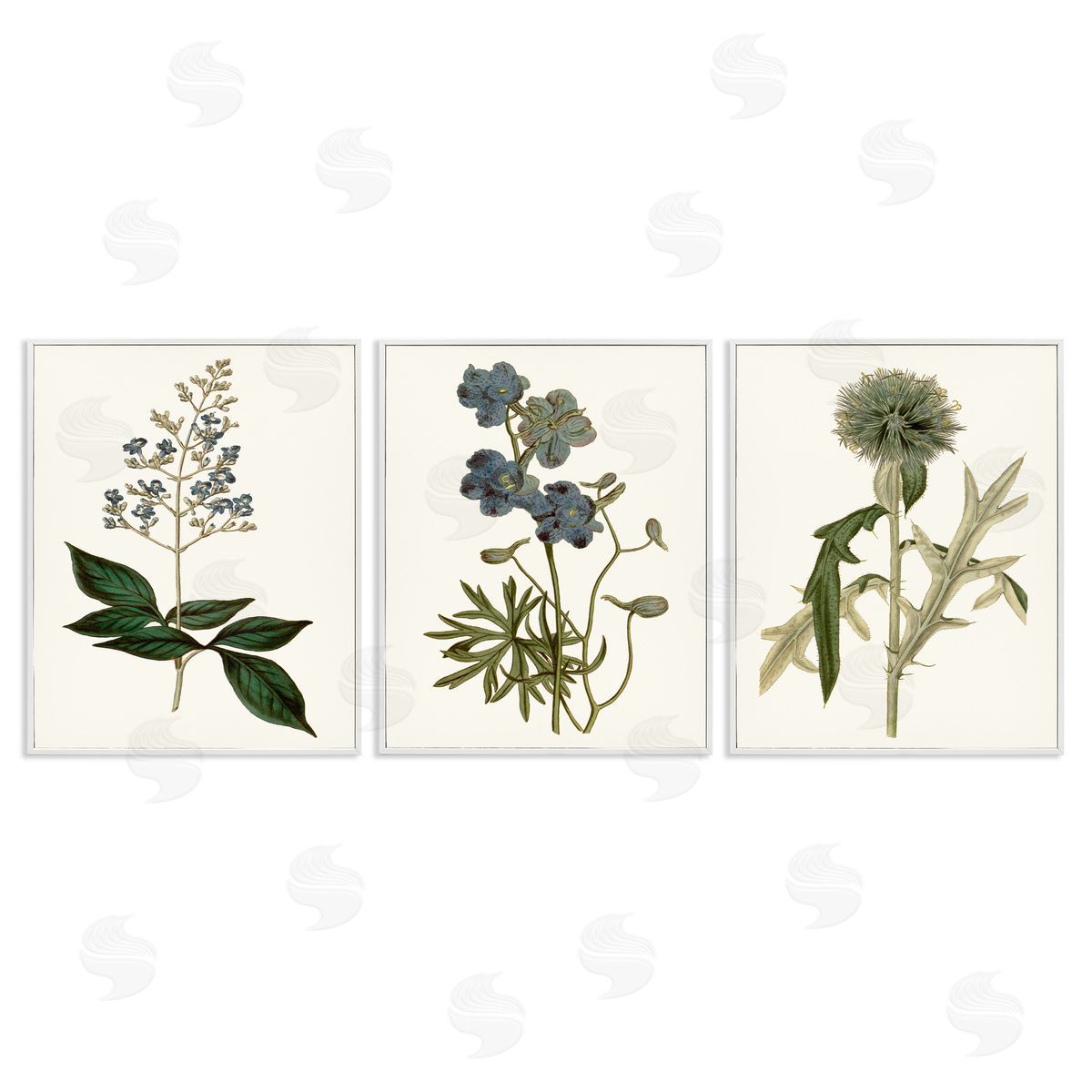 Vintage Botanical Flowers on Beige White Frame Print Wall Art, Home Decor by Curtis