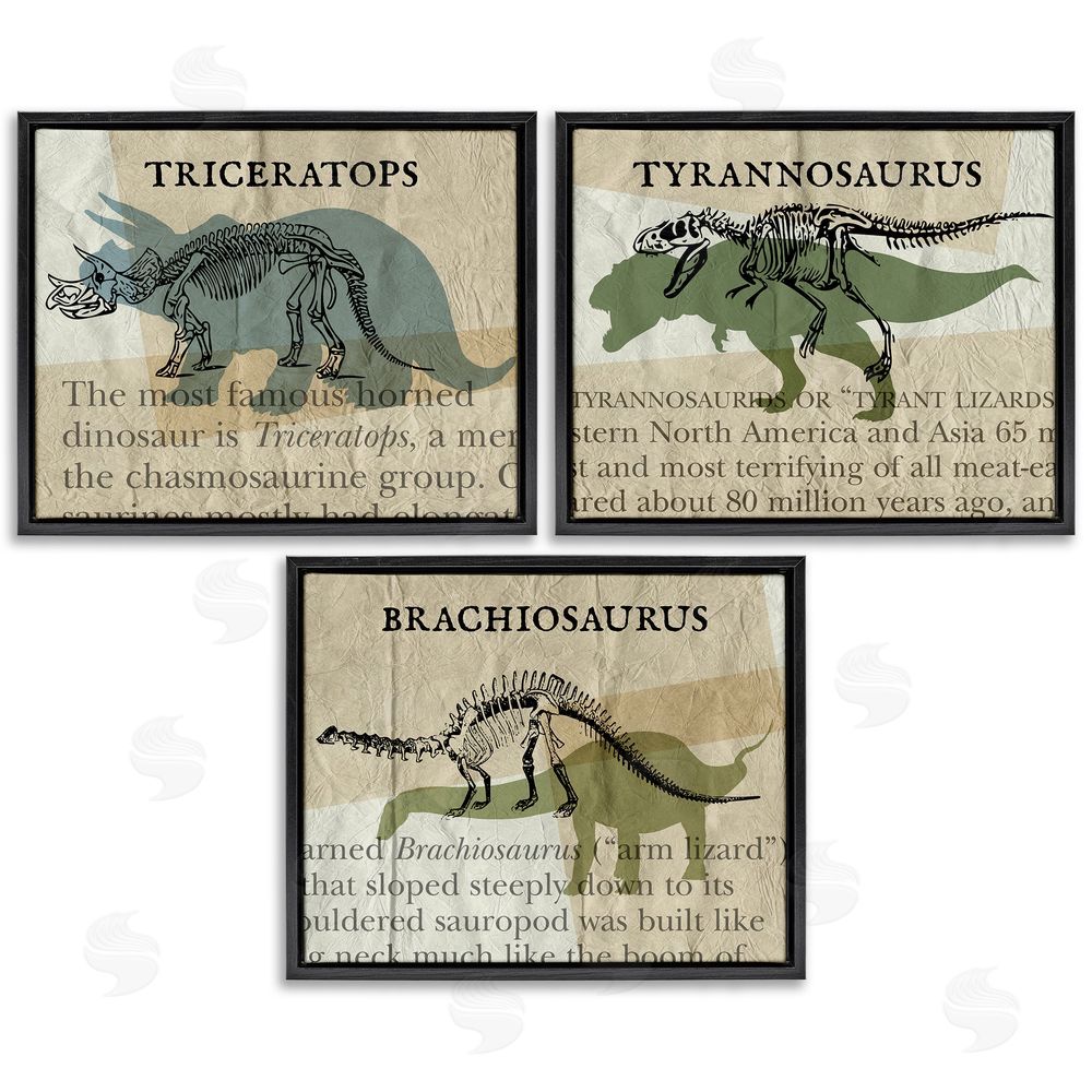 Stupell Studio Textbook Style Dinosaur Skeletons Black Floating Frame Canvas Wall Art Print