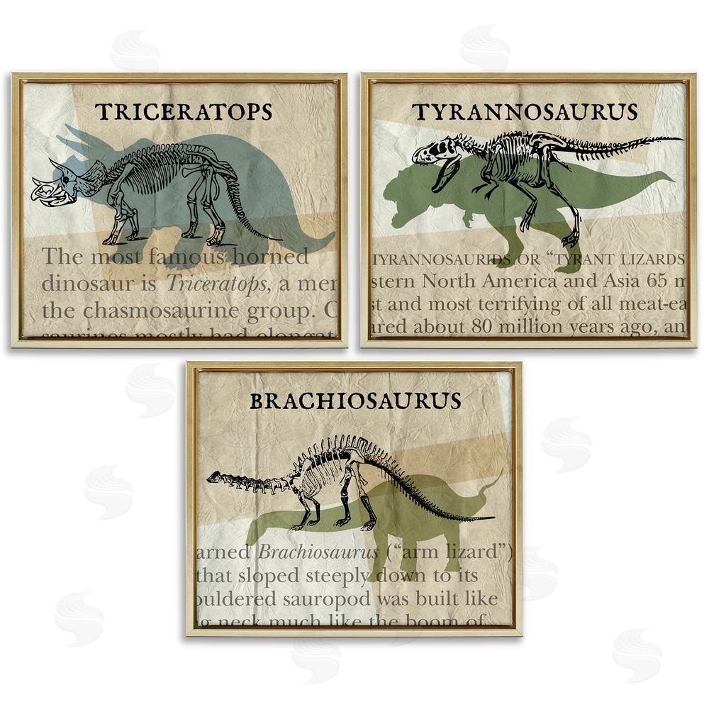 Stupell Studio Textbook Style Dinosaur Skeletons Gold Floating Frame Canvas Wall Art Print