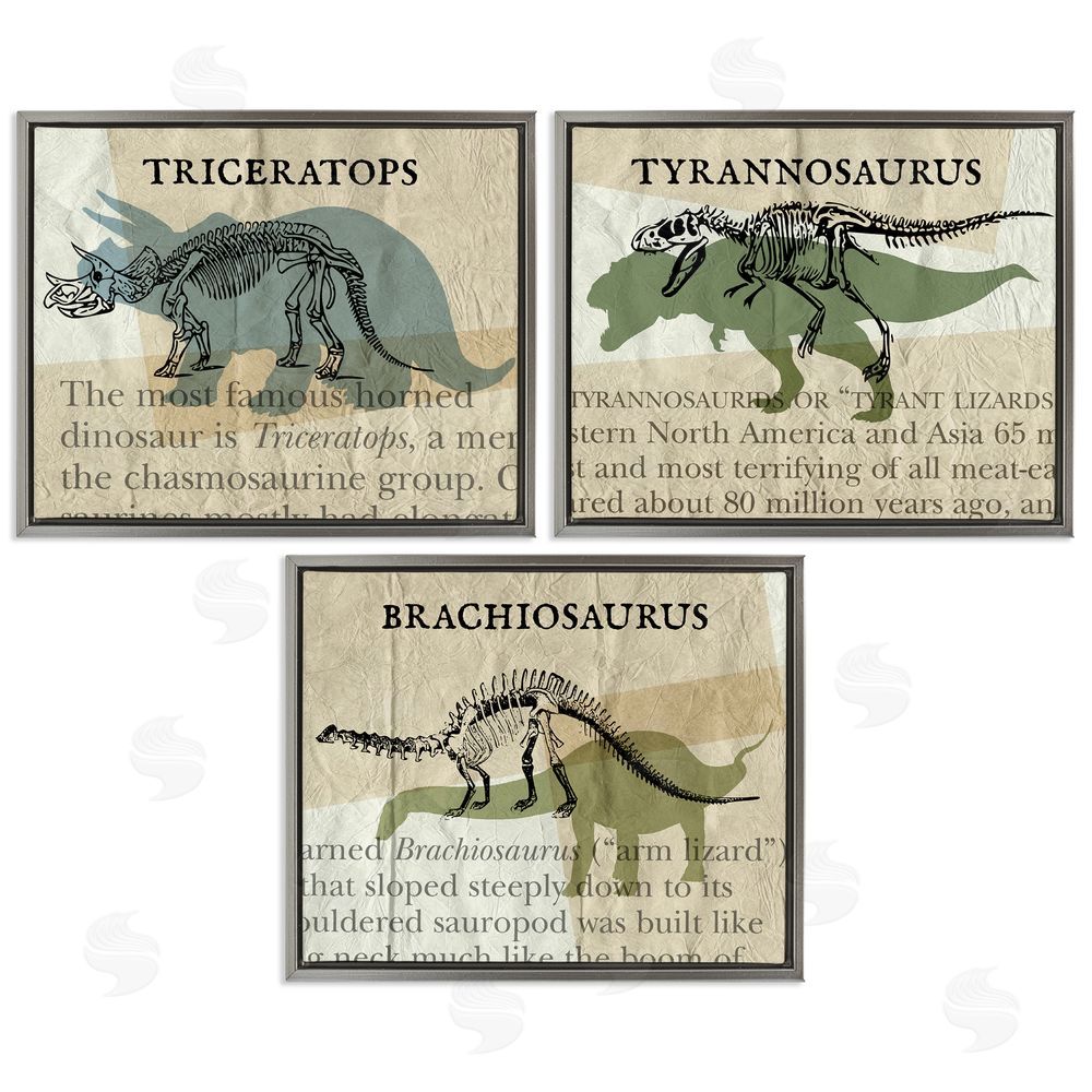 Stupell Studio Textbook Style Dinosaur Skeletons Gray Floating Frame Canvas Wall Art Print