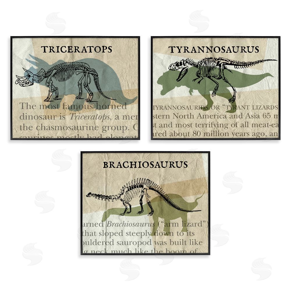 Stupell Studio Textbook Style Dinosaur Skeletons Black Framed Giclee Wall Art Print