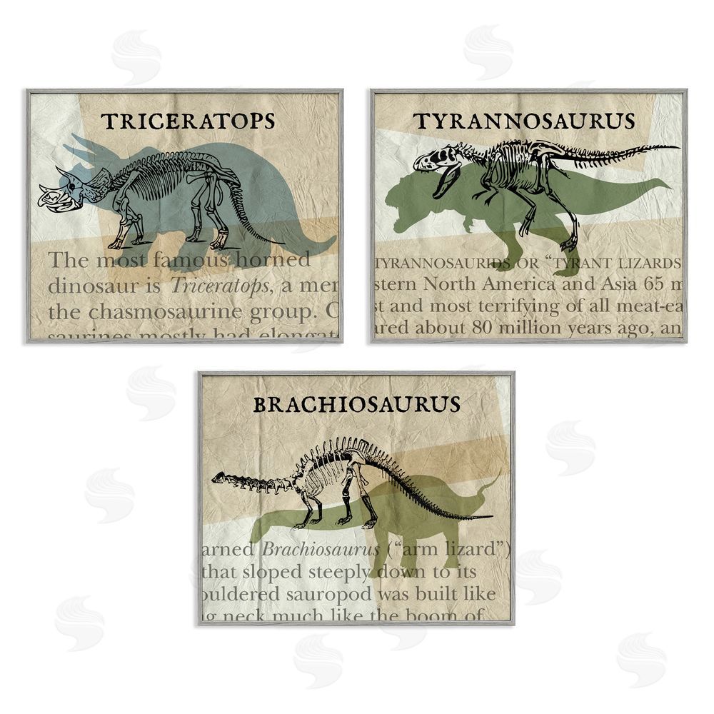 Stupell Studio Textbook Style Dinosaur Skeletons Gray Framed Giclee Wall Art Print