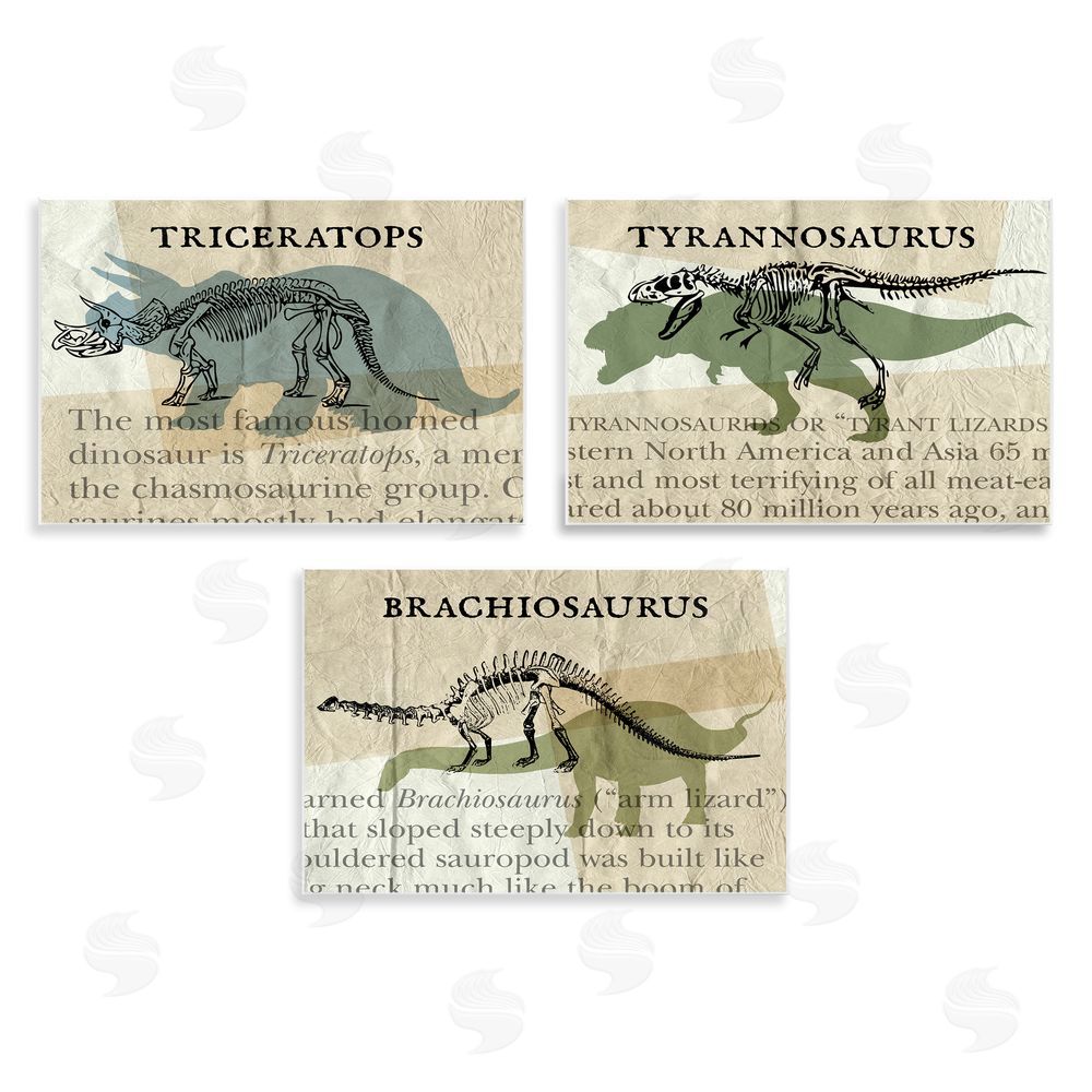 Stupell Studio Textbook Style Dinosaur Skeletons Wooden Wall Plaque Art Print