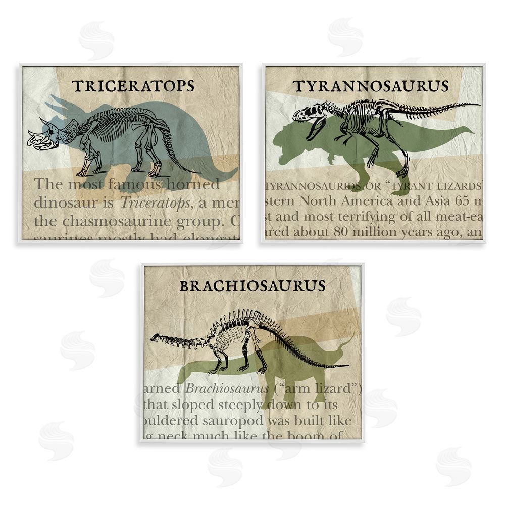 Stupell Studio Textbook Style Dinosaur Skeletons White Framed Giclee Wall Art Print