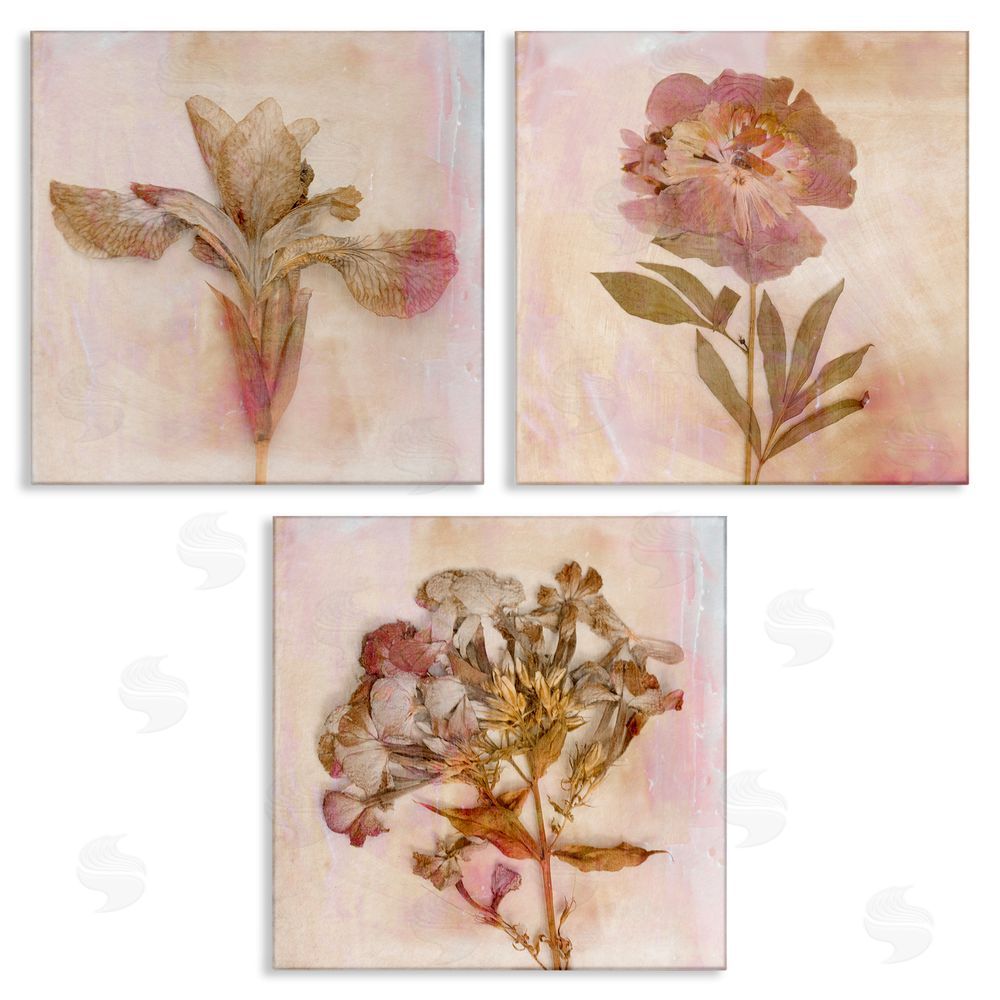 Judy Stalus Vintage Dried Pink Flowers Canvas Wall Art Print
