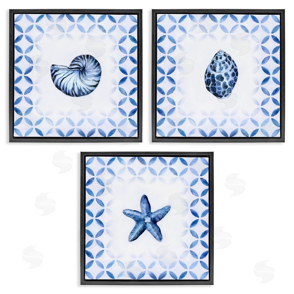 Tava Studios Nautilus Spiral Shell Starfish Blue Aquatics Black Floating Frame Canvas Wall Art Print