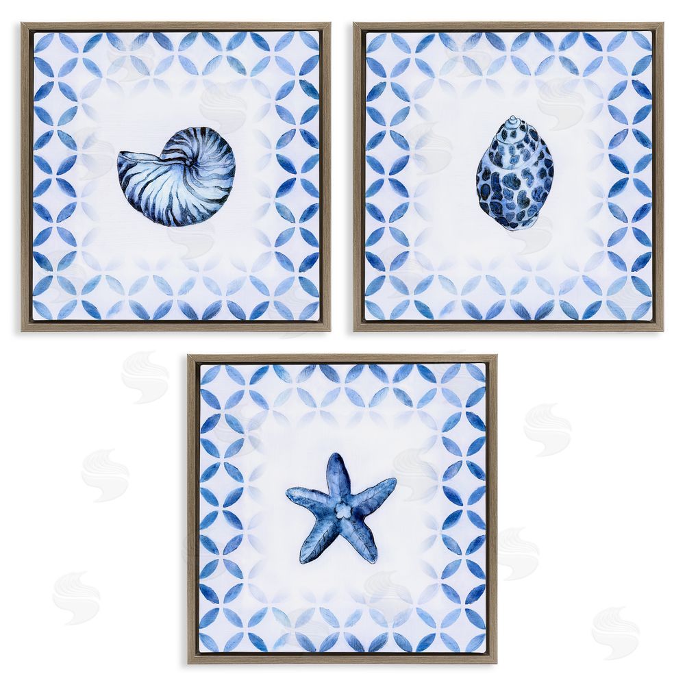 Tava Studios Nautilus Spiral Shell Starfish Blue Aquatics Brown Floating Frame Canvas Wall Art Print