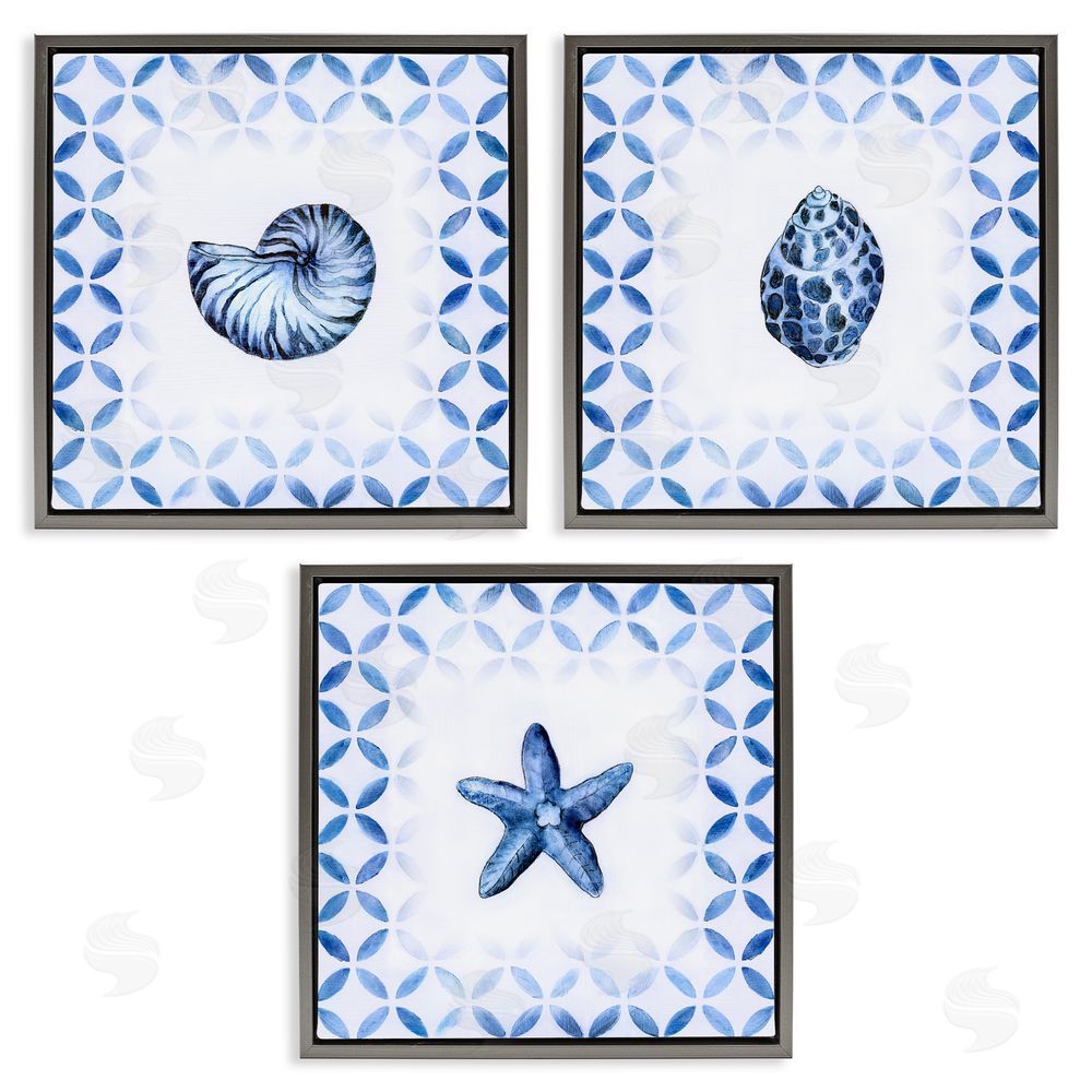 Tava Studios Nautilus Spiral Shell Starfish Blue Aquatics Gray Floating Frame Canvas Wall Art Print