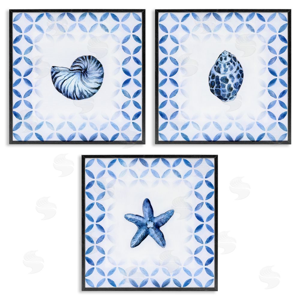 Tava Studios Nautilus Spiral Shell Starfish Blue Aquatics Black Framed Giclee Wall Art Print