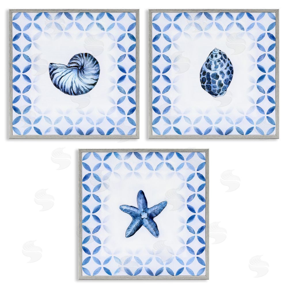 Tava Studios Nautilus Spiral Shell Starfish Blue Aquatics Gray Framed Giclee Wall Art Print