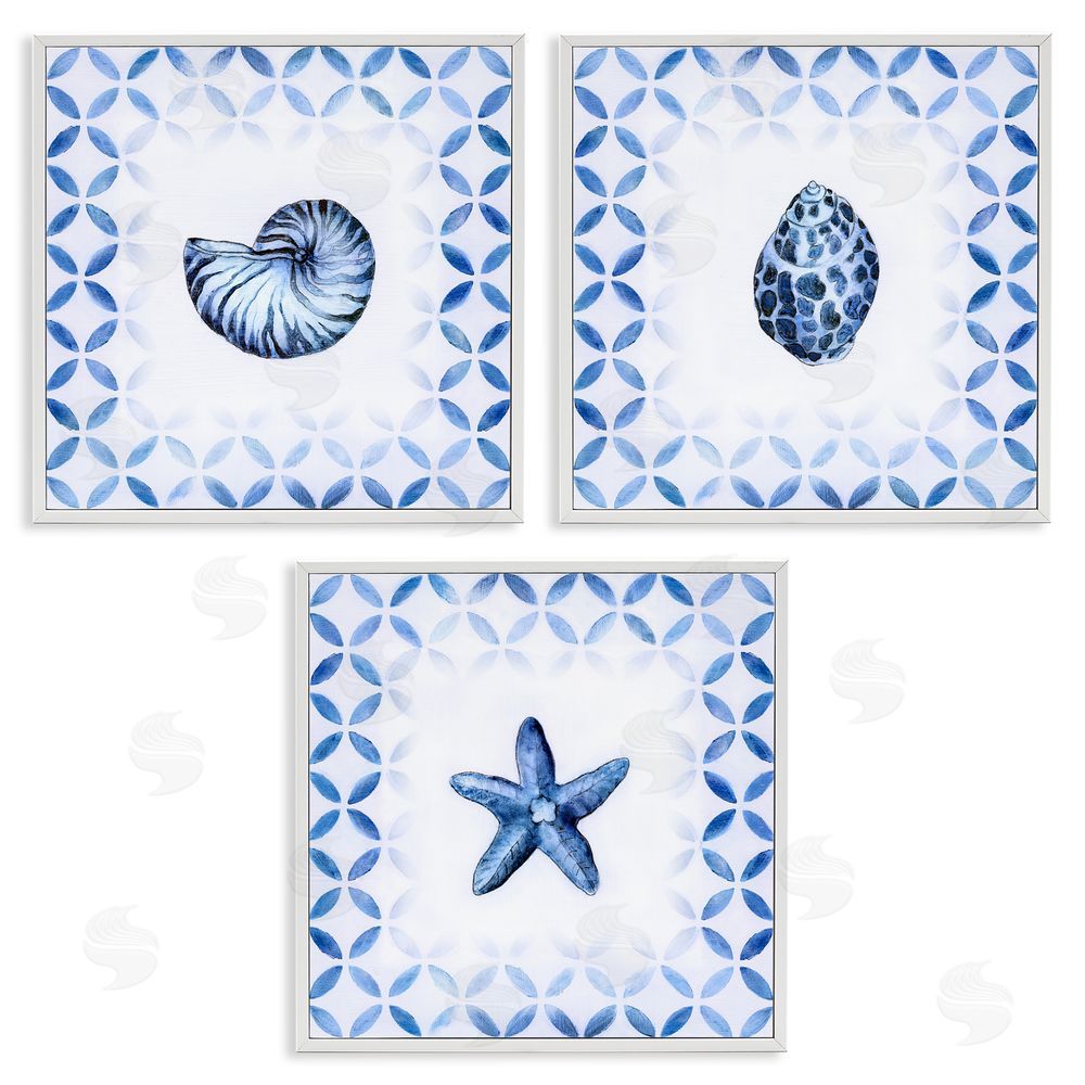 Tava Studios Nautilus Spiral Shell Starfish Blue Aquatics White Framed Giclee Wall Art Print
