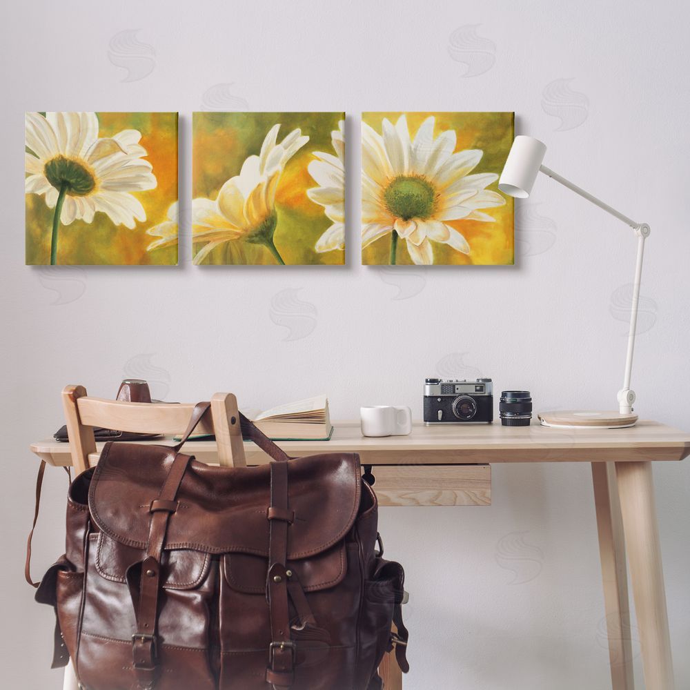Pierre Viollet Blooming Wild Daisies Field Canvas Wall Art Print in Room
