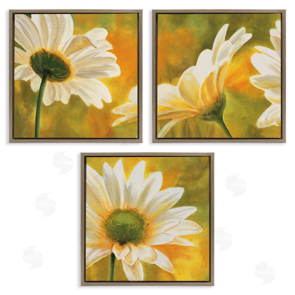 Pierre Viollet Blooming Wild Daisies Field Brown Floating Frame Canvas Wall Art Print