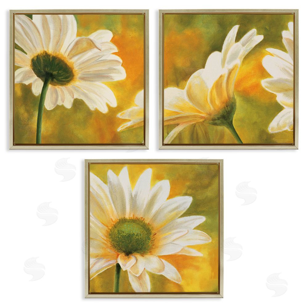 Pierre Viollet Blooming Wild Daisies Field Gold Floating Frame Canvas Wall Art Print