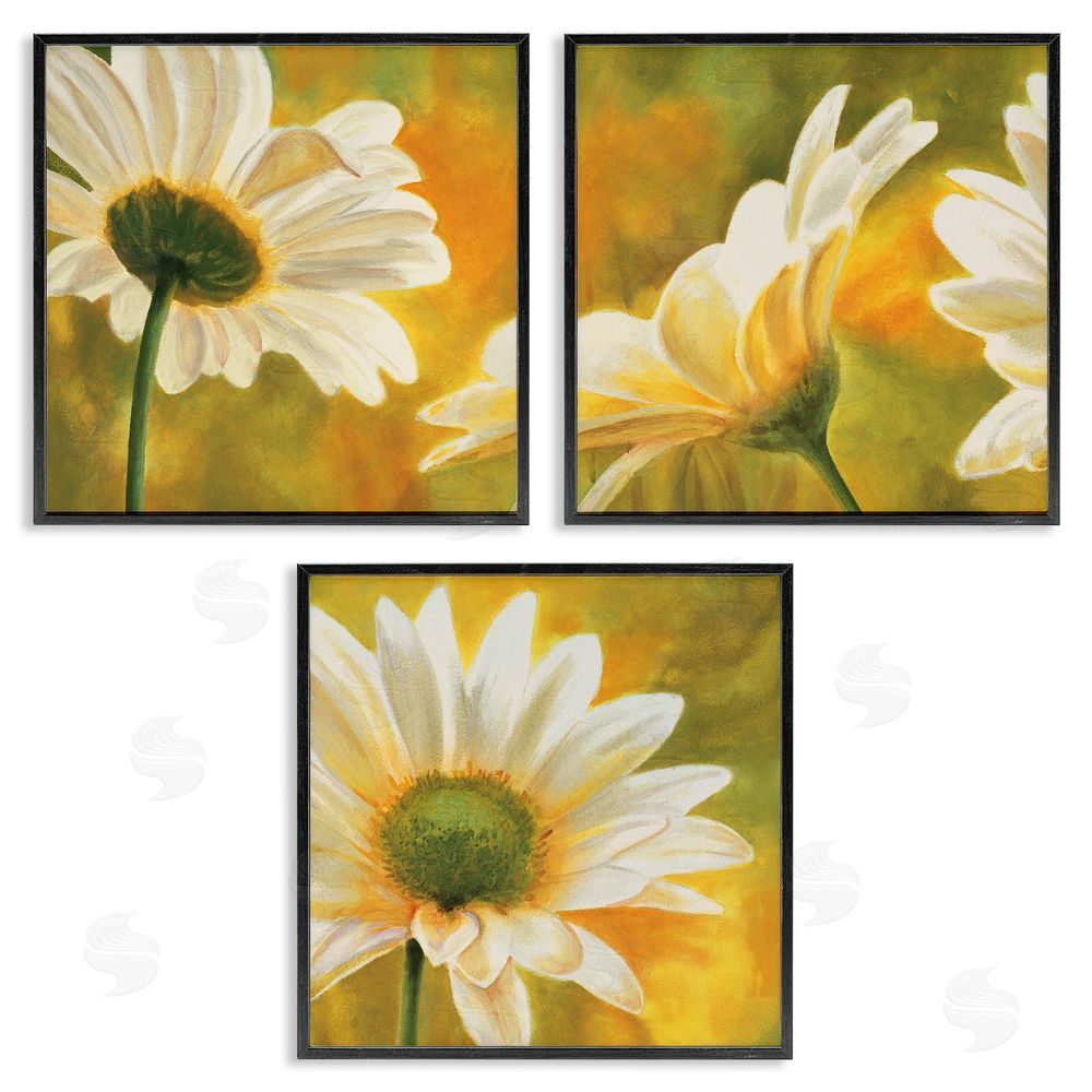 Pierre Viollet Blooming Wild Daisies Field Black Framed Giclee Wall Art Print