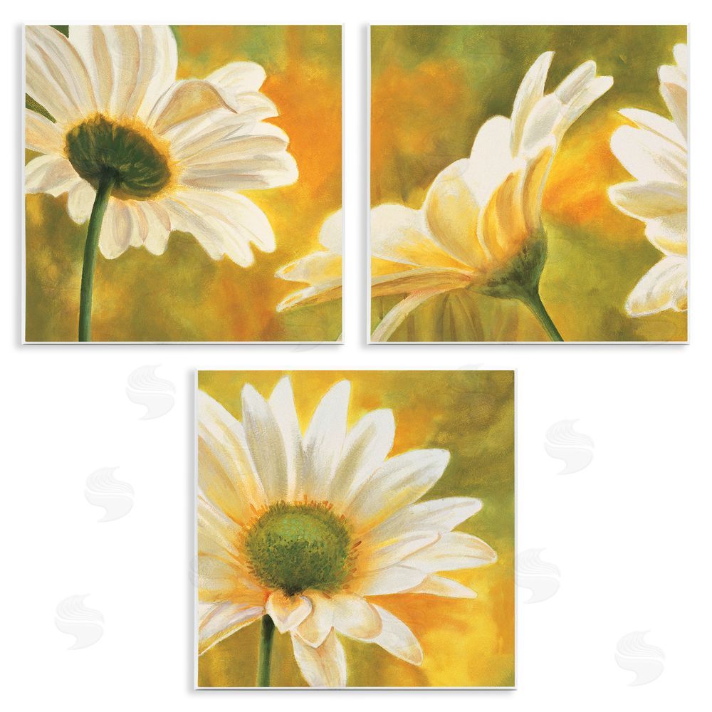 Pierre Viollet Blooming Wild Daisies Field Wooden Wall Plaque Art Print