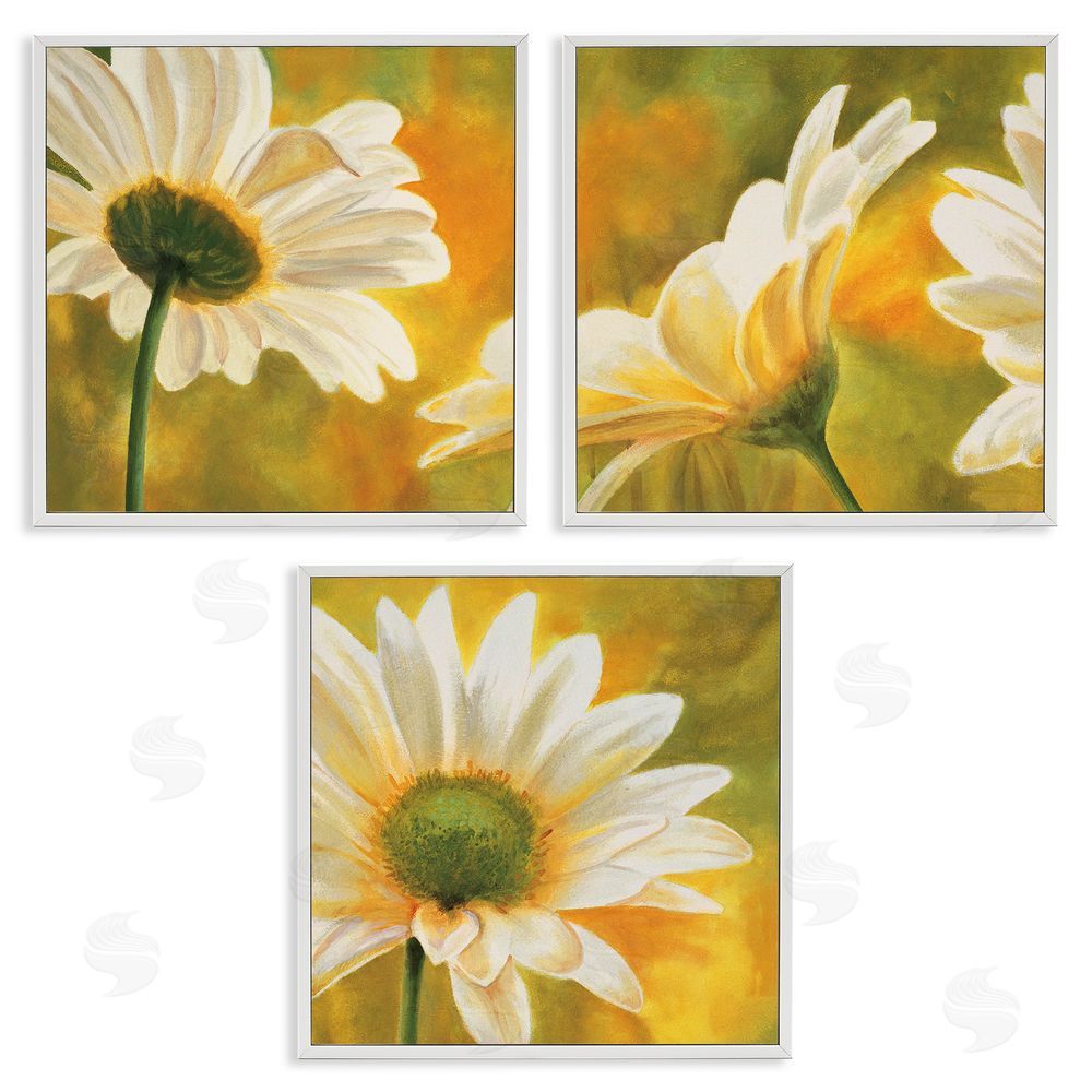Pierre Viollet Blooming Wild Daisies Field White Framed Giclee Wall Art Print