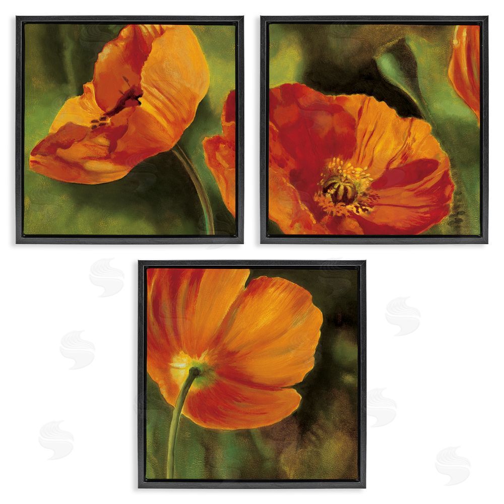Pierre Viollet Wild Poppy Blooms Flower Garden Black Floating Frame Canvas Wall Art Print