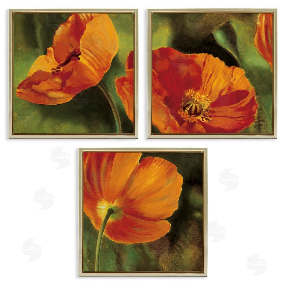 Pierre Viollet Wild Poppy Blooms Flower Garden Gold Floating Frame Canvas Wall Art Print