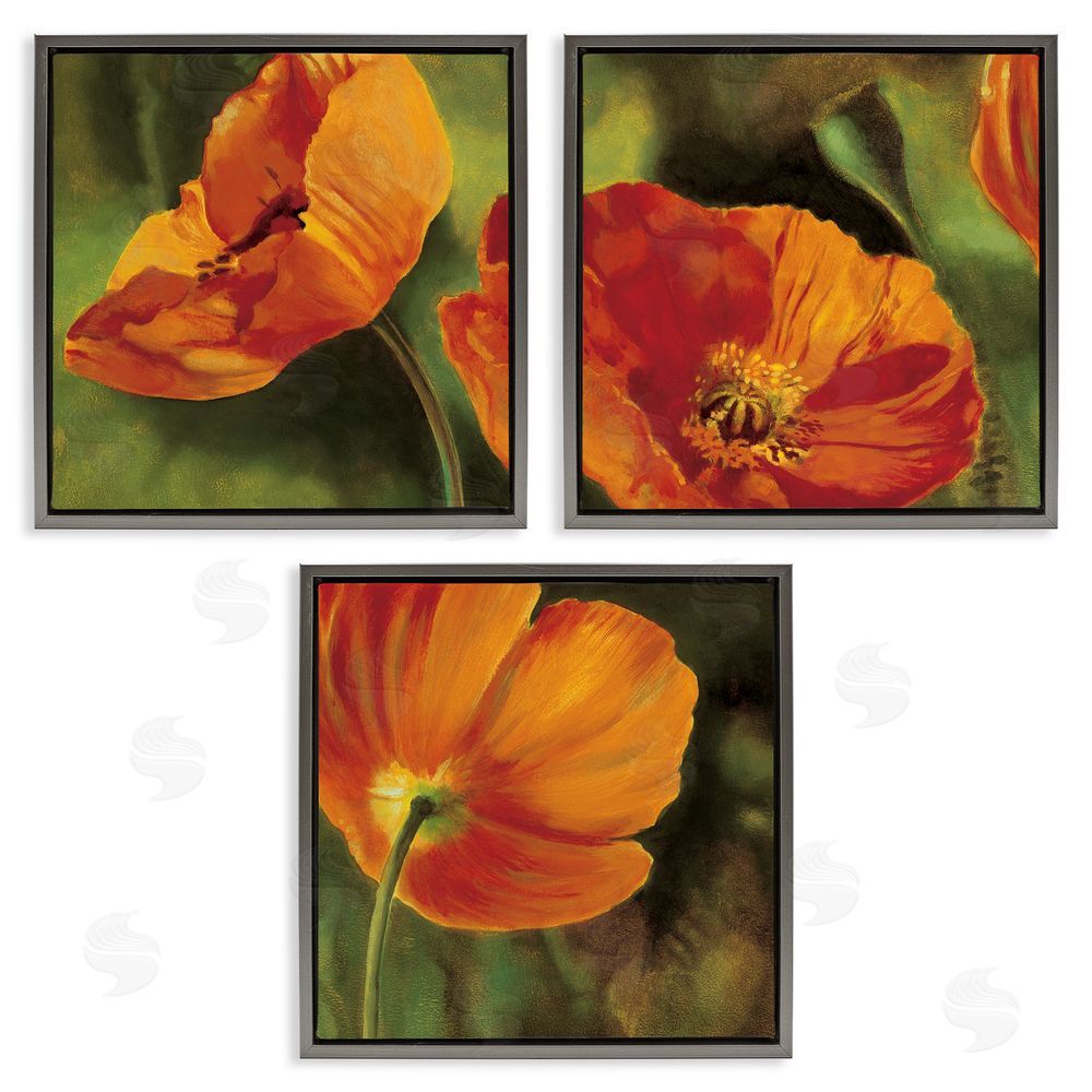 Pierre Viollet Wild Poppy Blooms Flower Garden Gray Floating Frame Canvas Wall Art Print
